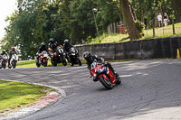 Middle Group Red Bikes